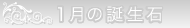1月の誕生石